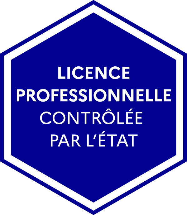 Licence profesionnelle