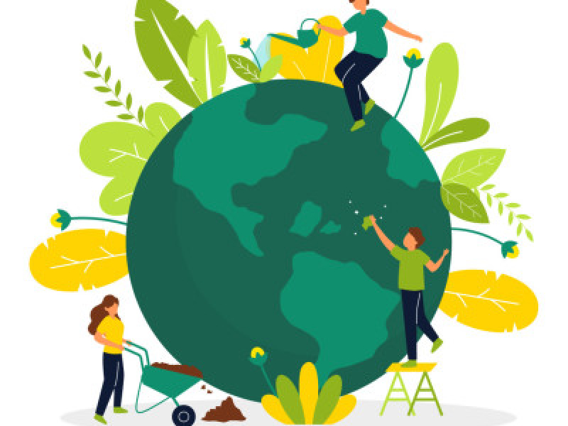 Développement durable, environnement : l’université active en formation