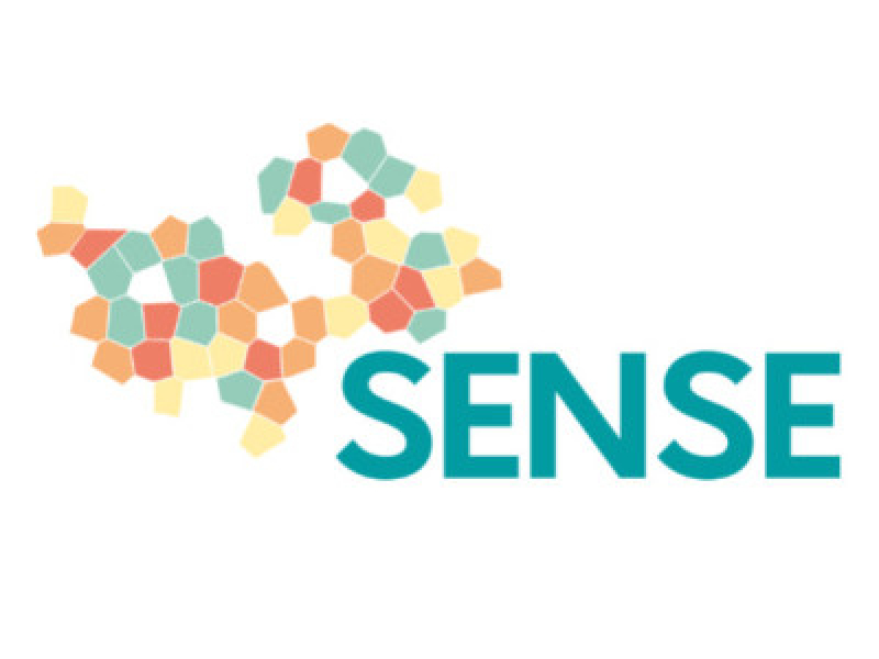 SENSE : le certificat pour comprendre les enjeux sociétaux et environnementaux